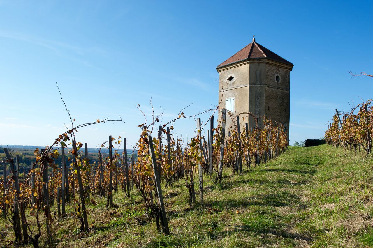 Communes Arbois Tour de Curon 5840